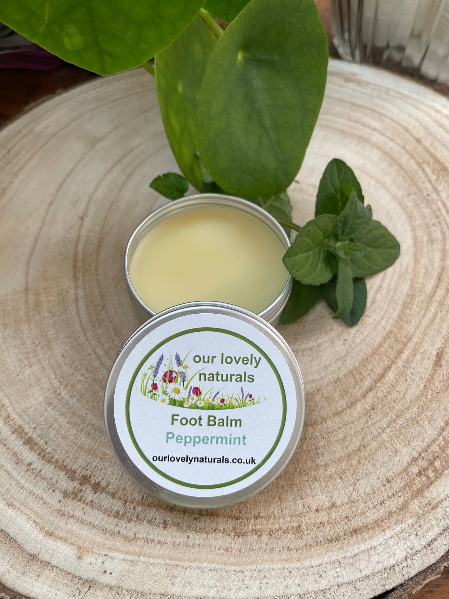 Handmade natural environmentally friendly foot balm - peppermint in a tin sat on a slice of wooden tree with mint sprigs.