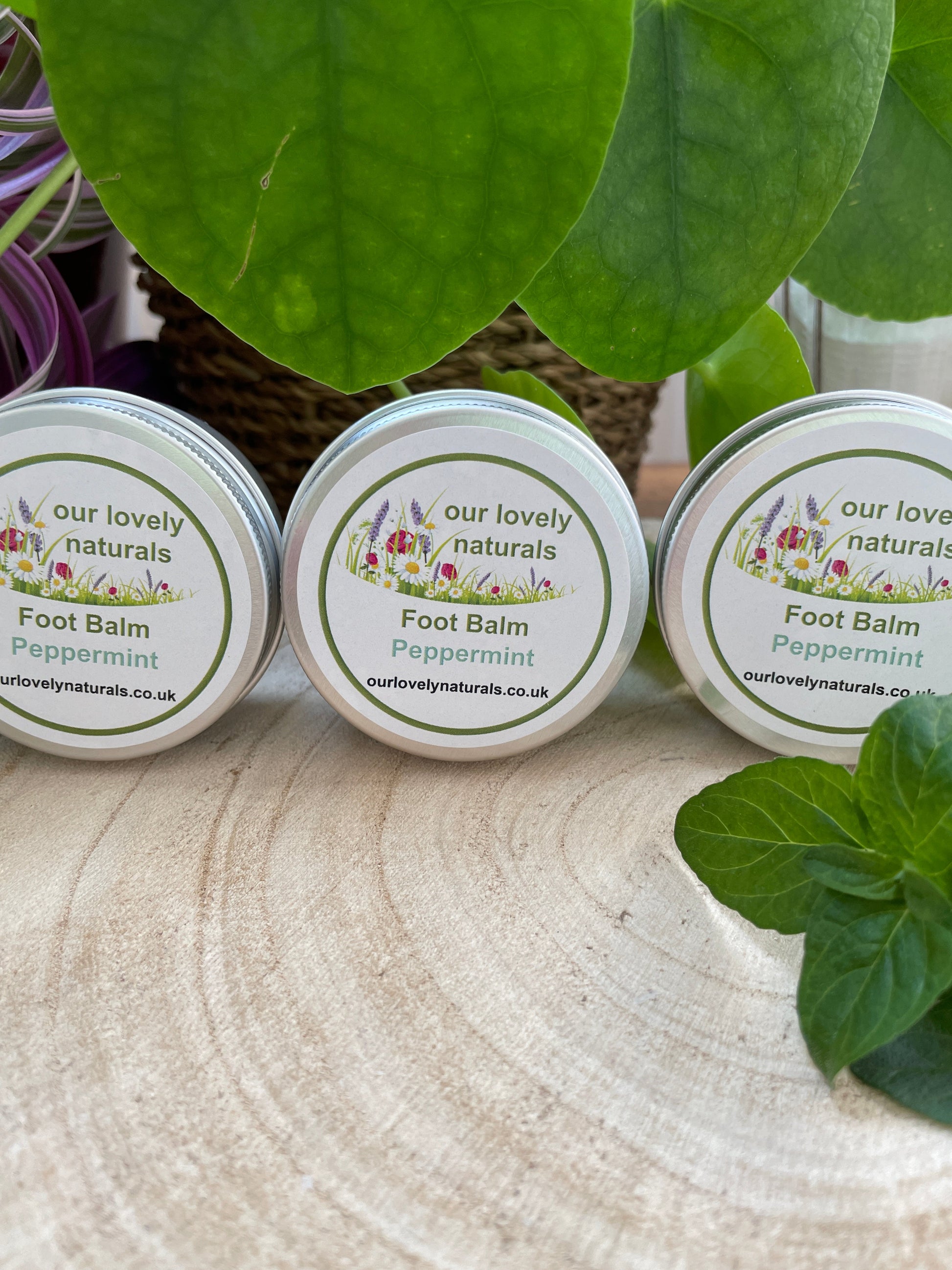 Handmade natural environmentally friendly foot balm - peppermint in a tin sat on a slice of wooden tree with mint sprigs.