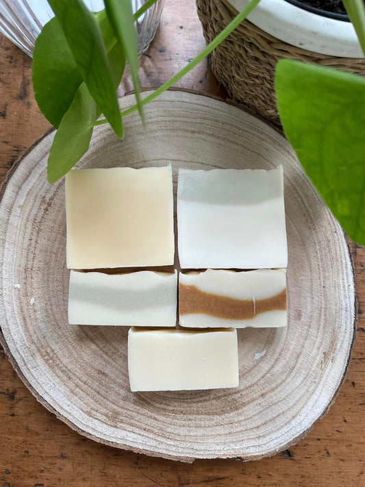 Bars of natural soap in shades of white, cream, and light brown arranged on a round wooden plate, with green plant leaves partially framing the top of the image, placed on a wooden surface.